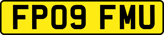 FP09FMU