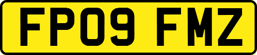 FP09FMZ