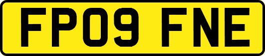 FP09FNE