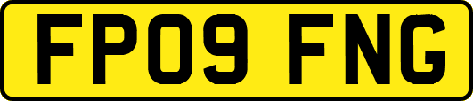 FP09FNG