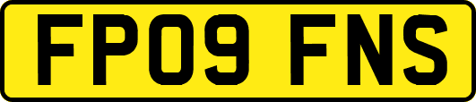 FP09FNS