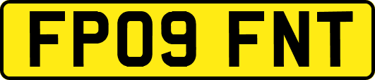 FP09FNT