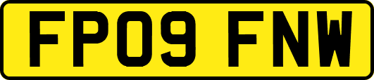 FP09FNW