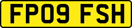 FP09FSH