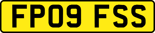 FP09FSS