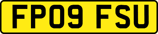 FP09FSU