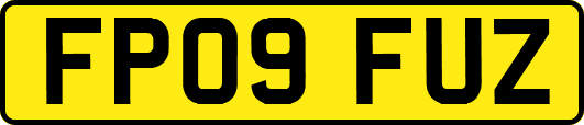 FP09FUZ