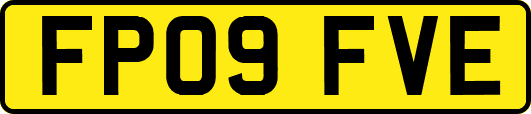 FP09FVE