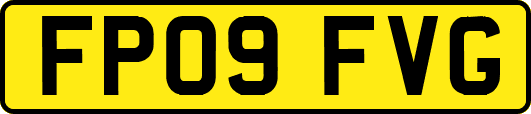 FP09FVG