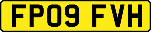 FP09FVH