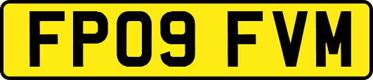 FP09FVM
