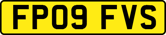FP09FVS