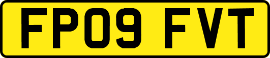 FP09FVT