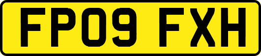 FP09FXH