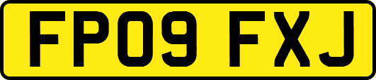 FP09FXJ
