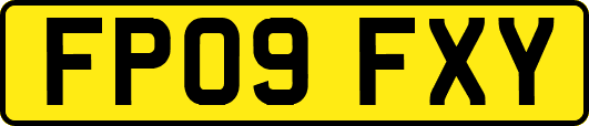 FP09FXY