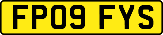 FP09FYS