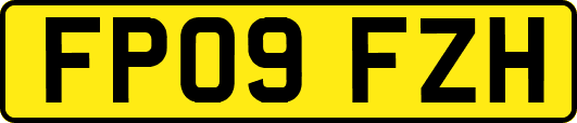 FP09FZH