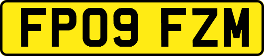 FP09FZM