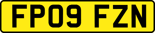 FP09FZN