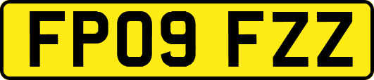 FP09FZZ