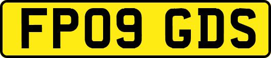 FP09GDS