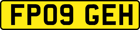FP09GEH