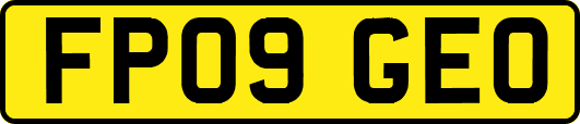 FP09GEO