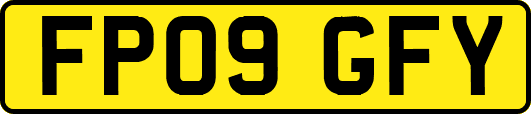 FP09GFY