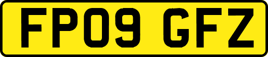 FP09GFZ