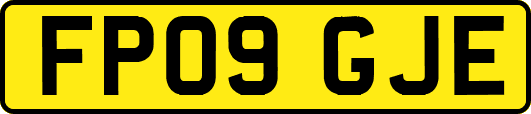 FP09GJE