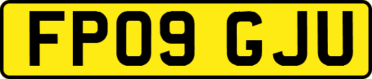 FP09GJU