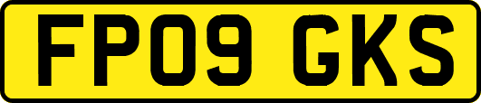 FP09GKS