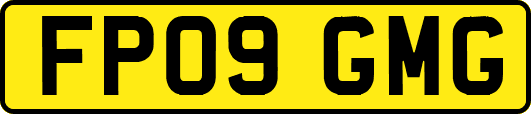 FP09GMG