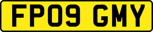 FP09GMY
