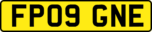 FP09GNE