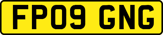 FP09GNG