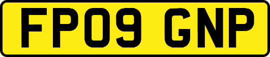 FP09GNP