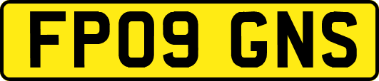 FP09GNS