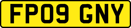 FP09GNY