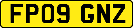 FP09GNZ