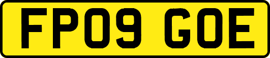 FP09GOE