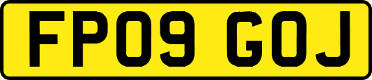 FP09GOJ