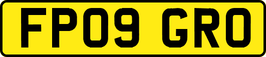 FP09GRO