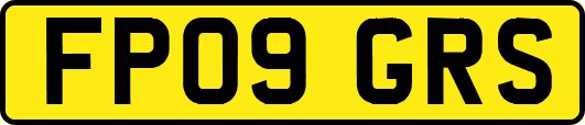 FP09GRS
