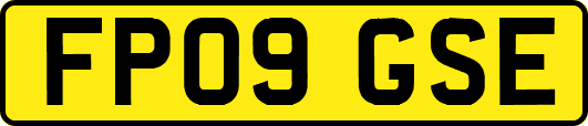 FP09GSE