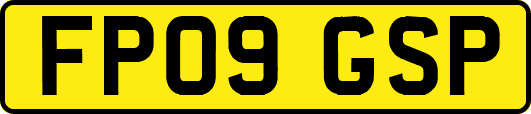 FP09GSP