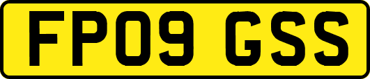 FP09GSS
