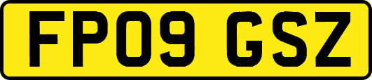 FP09GSZ