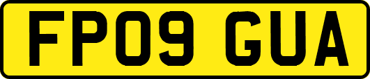 FP09GUA